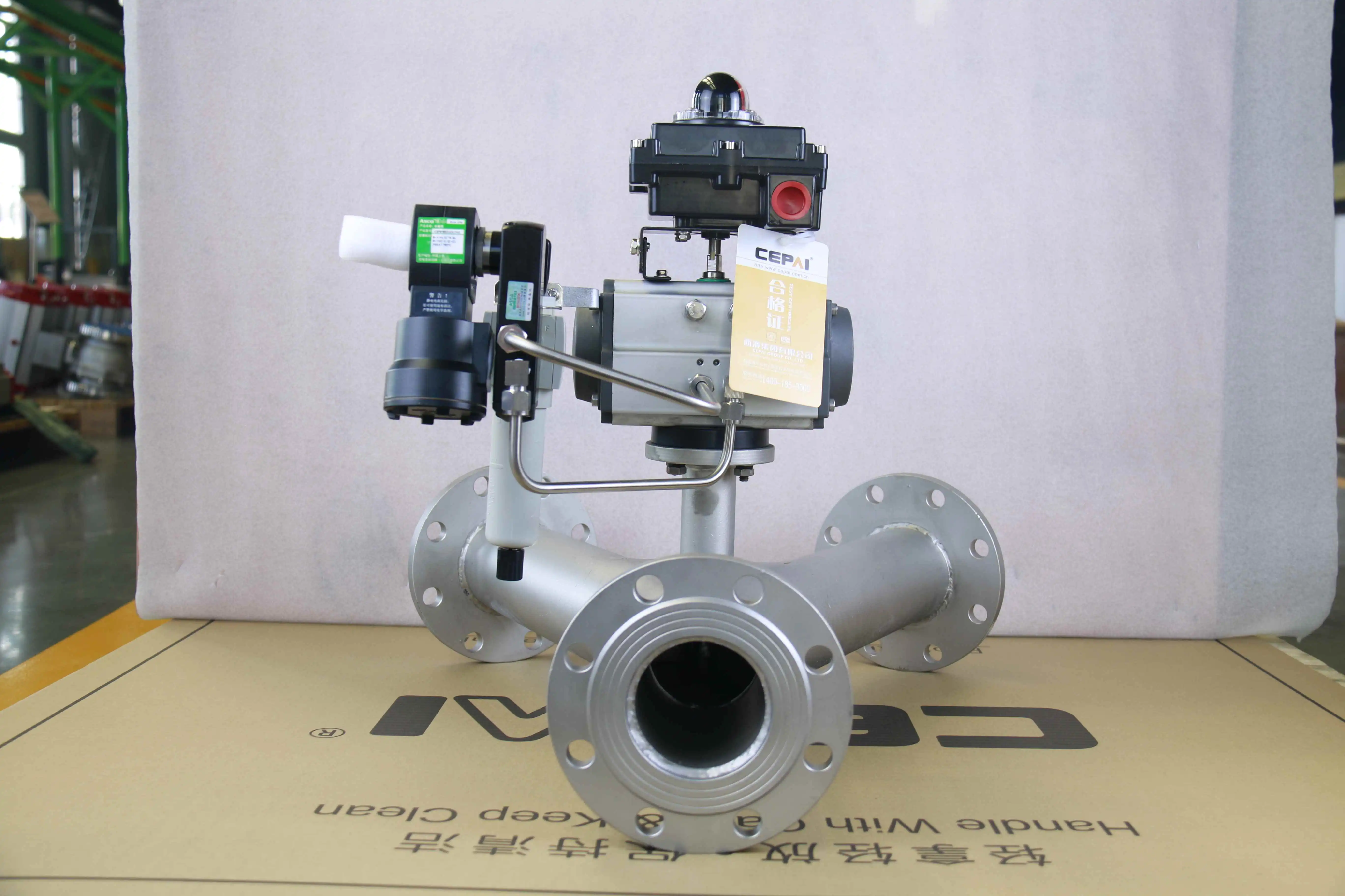 Cepai valve