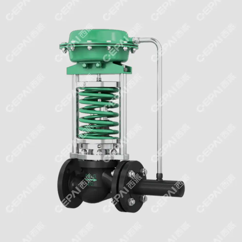 Self-operated Control Valve