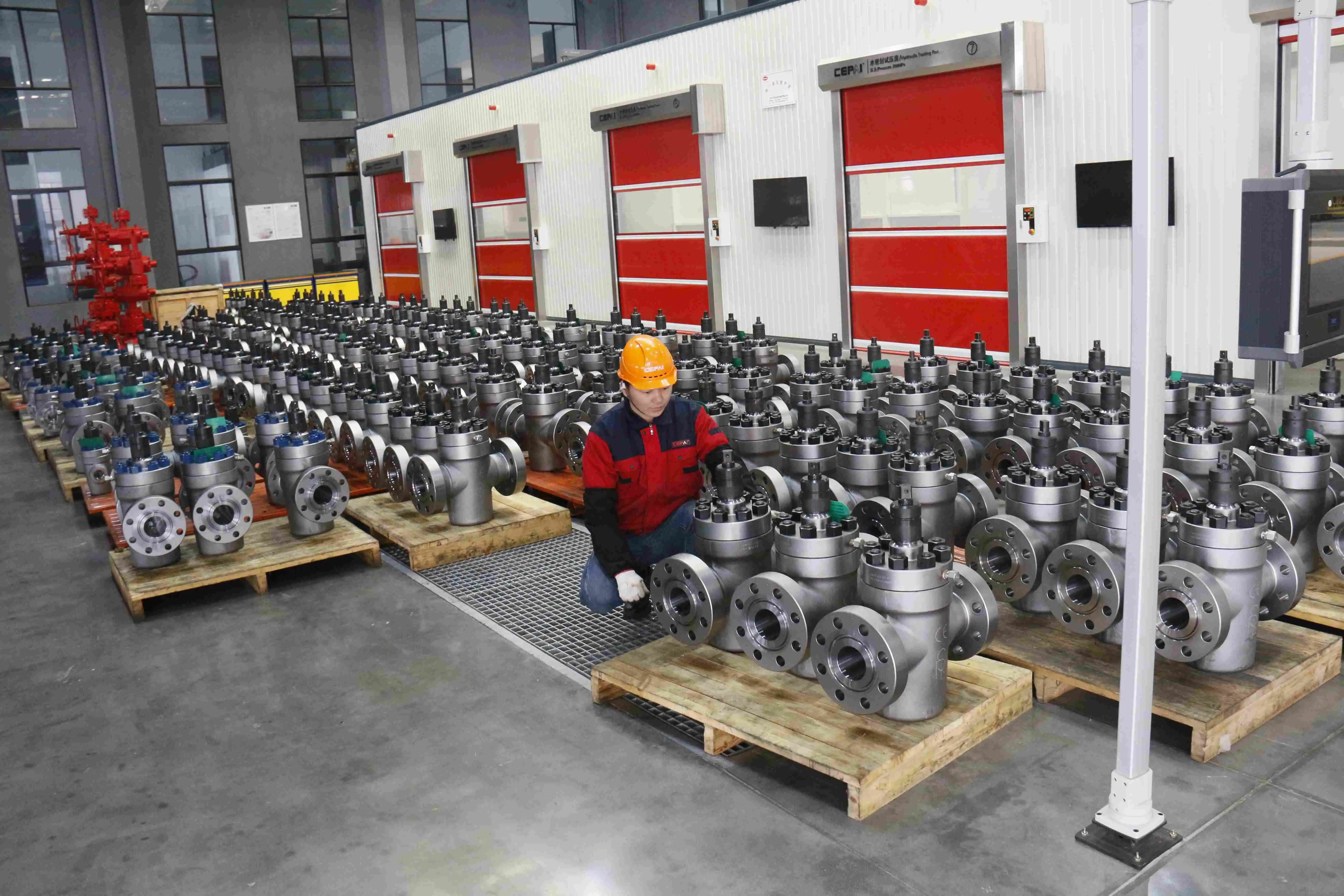Cepai valve