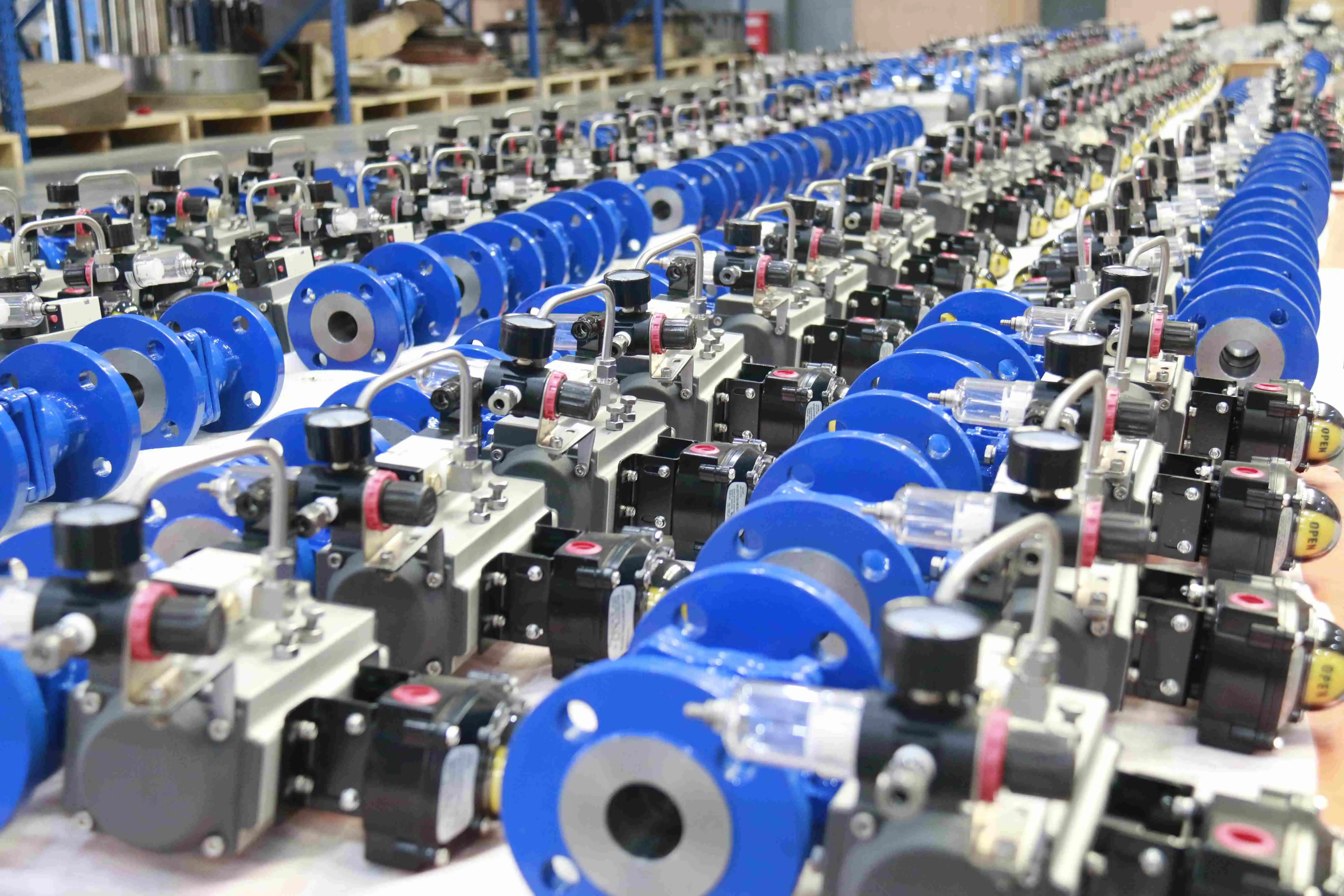Cepai valve