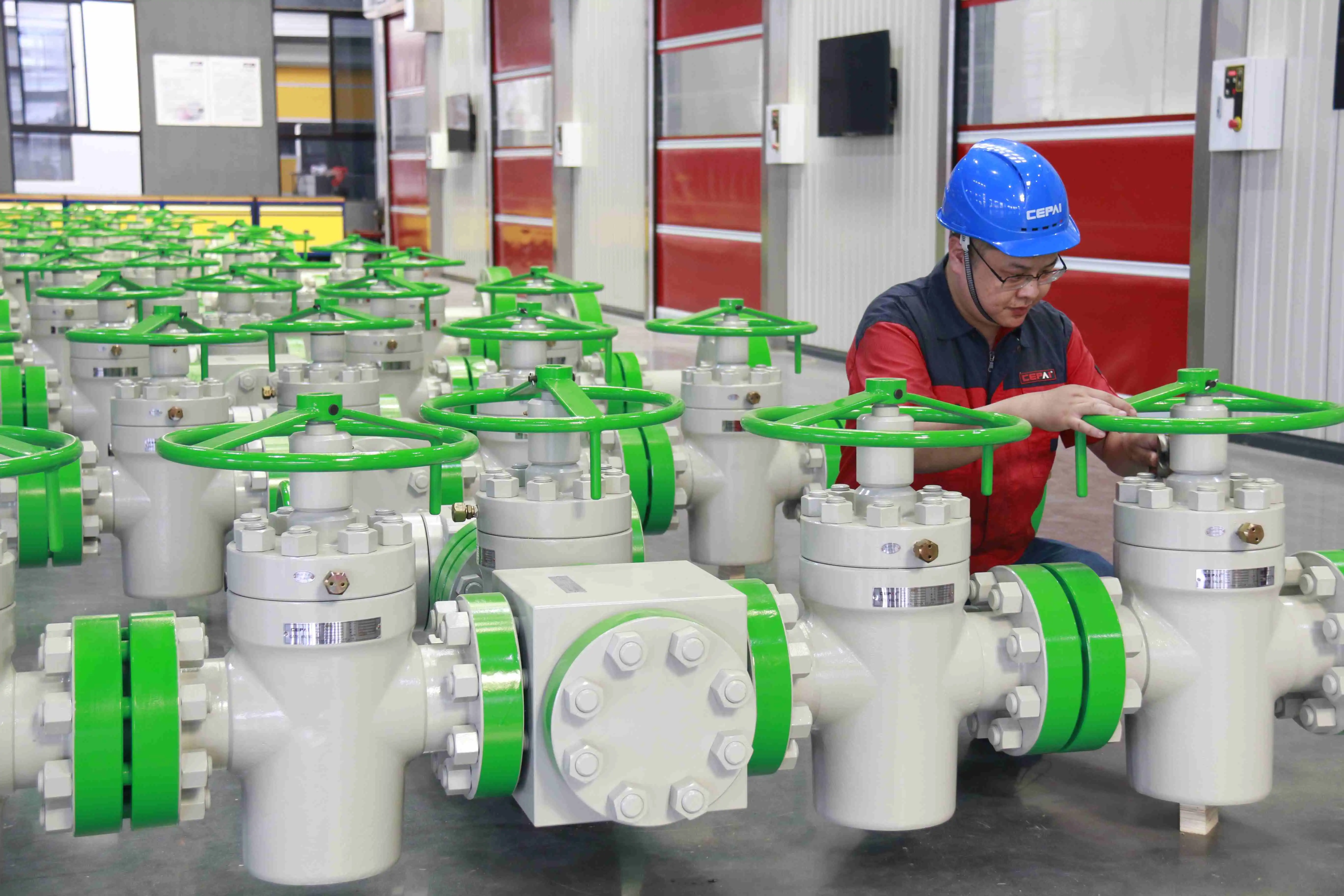 Cepai valve