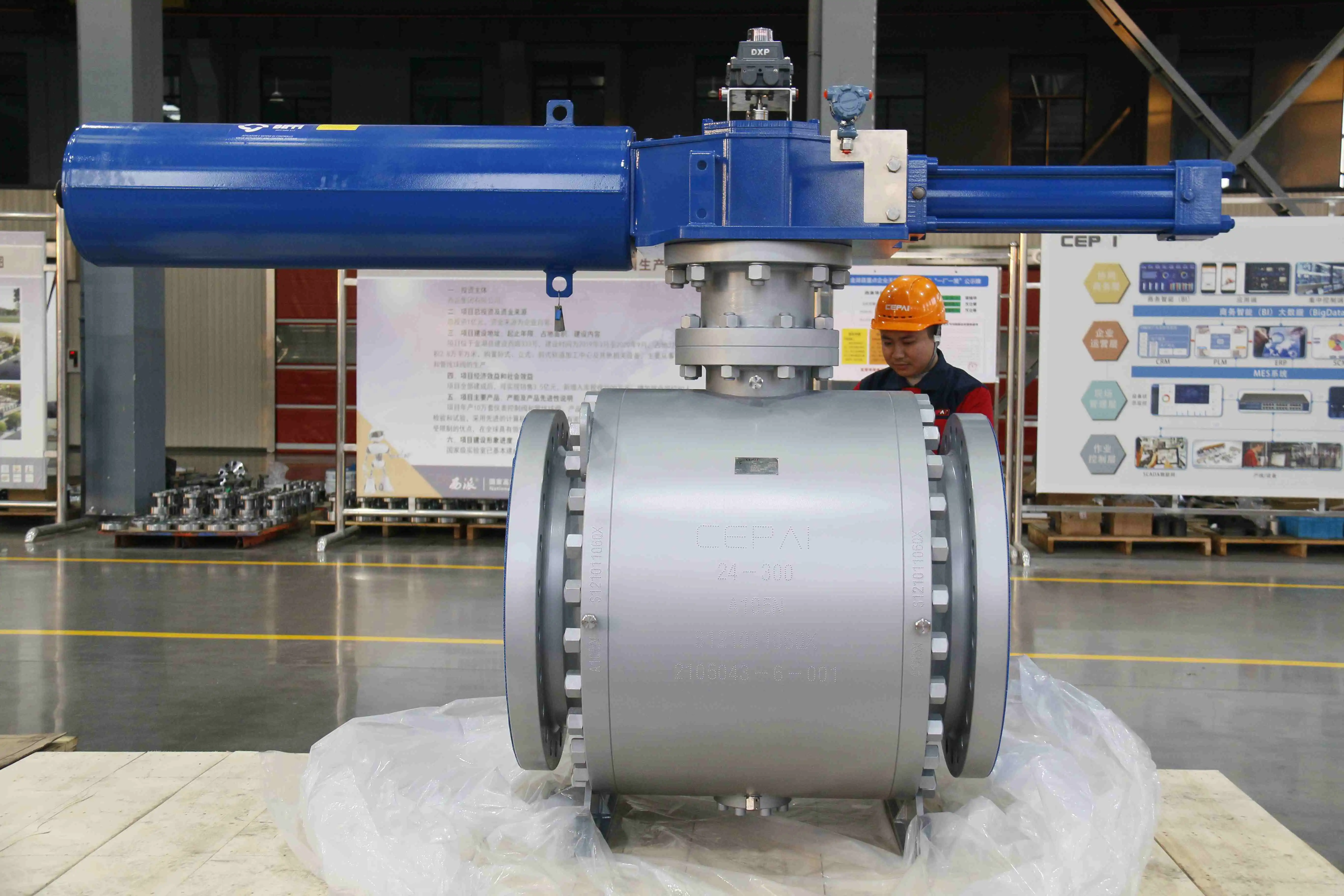 Cepai valve