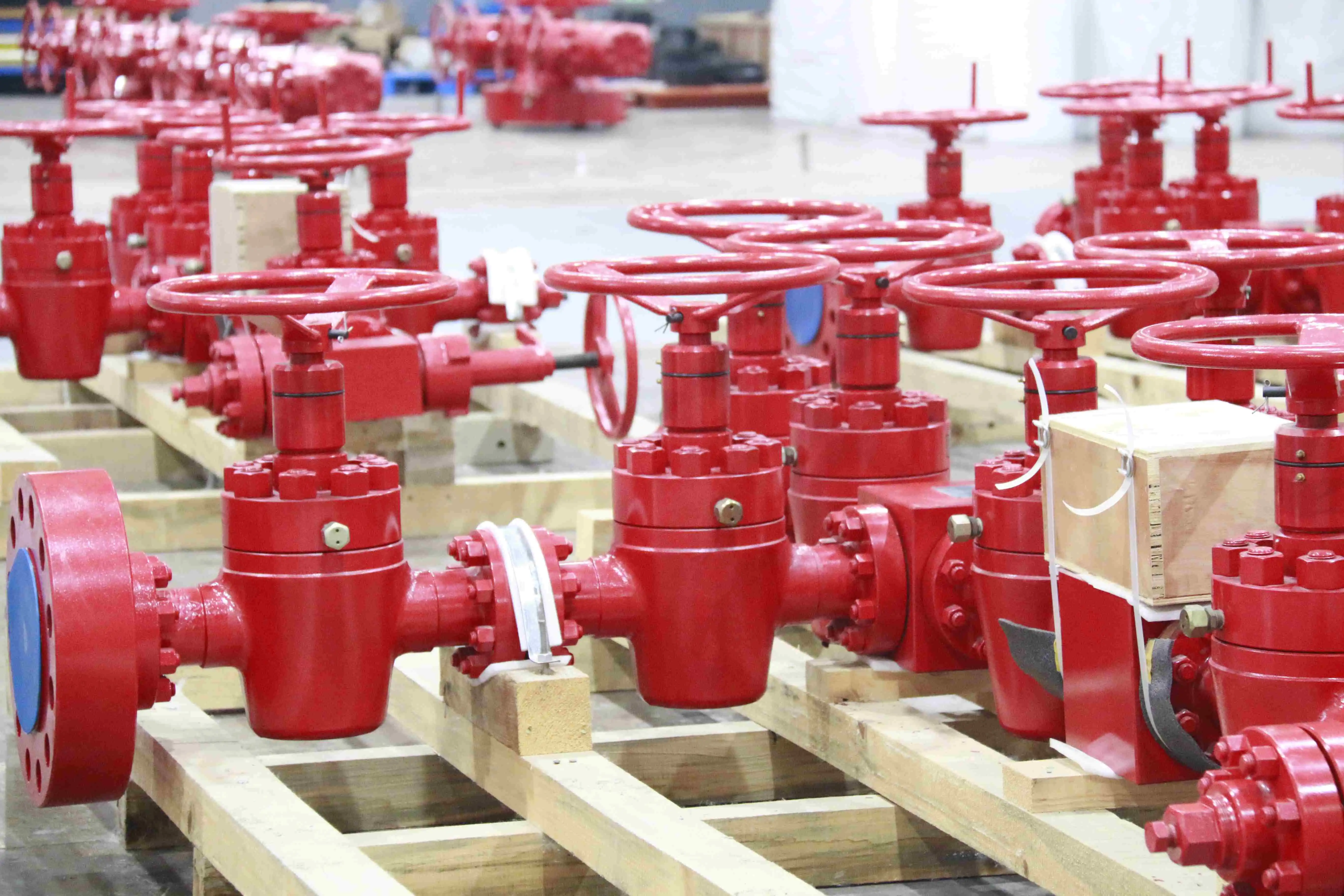 Cepai valve