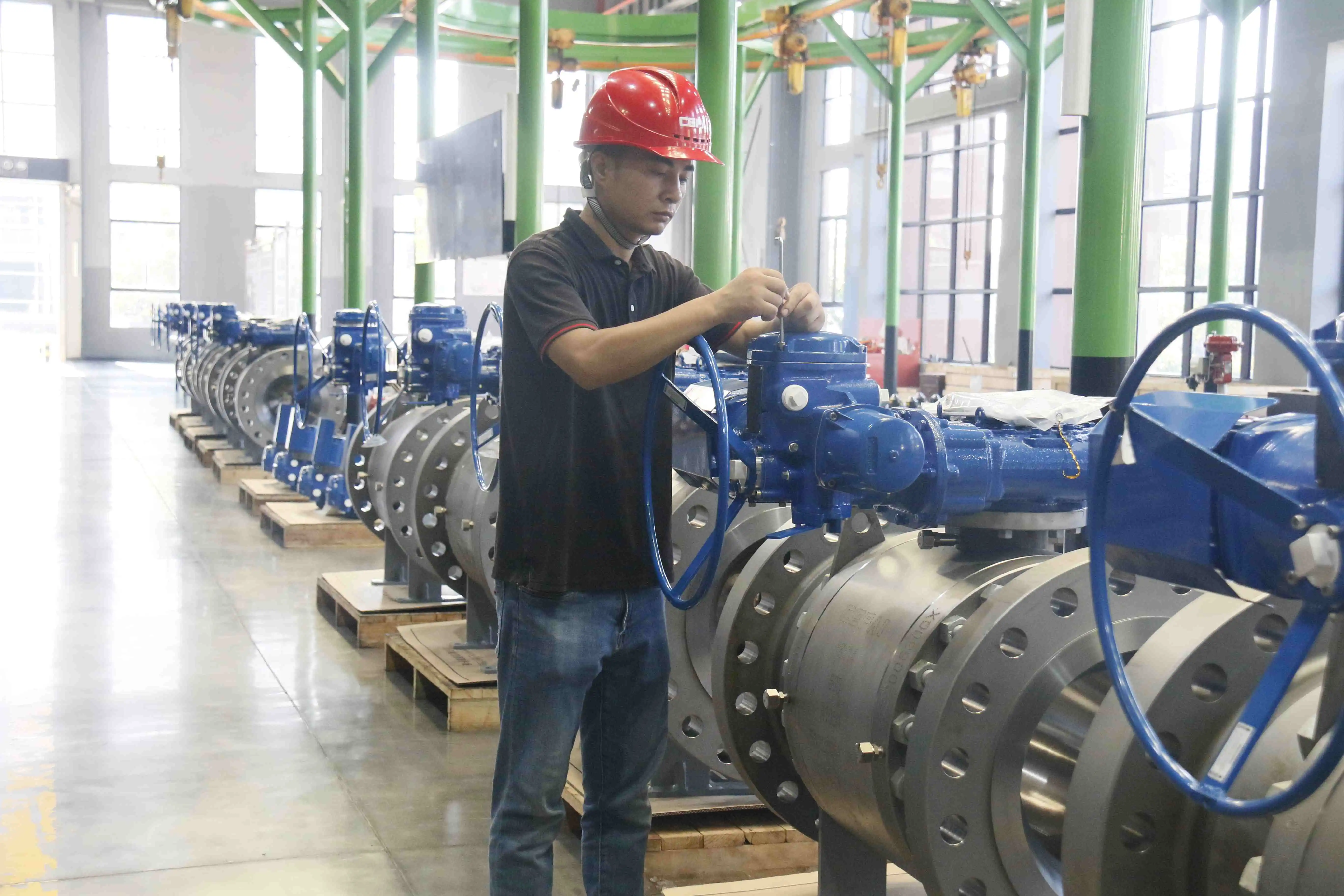 Cepai valve