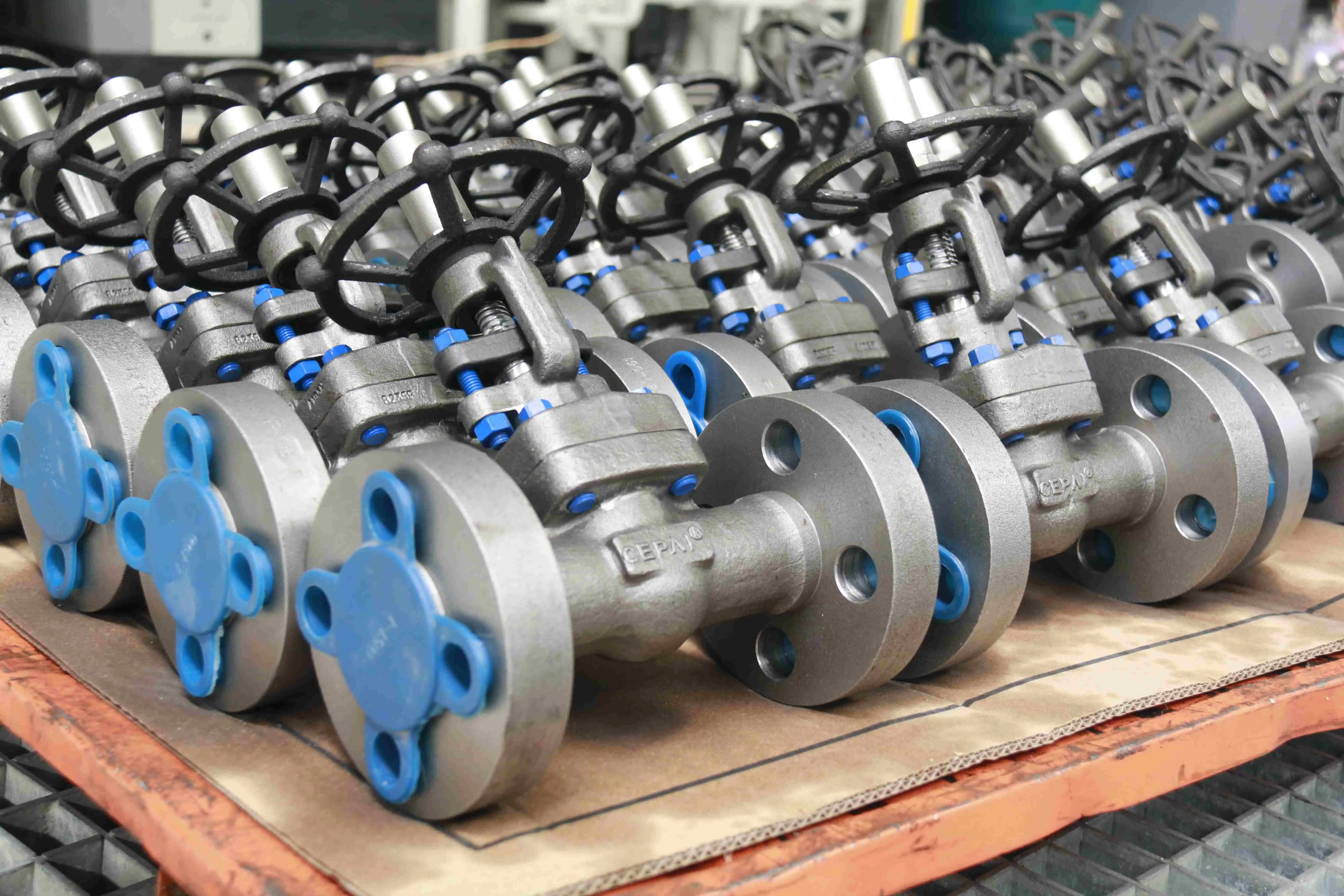 Cepai valve
