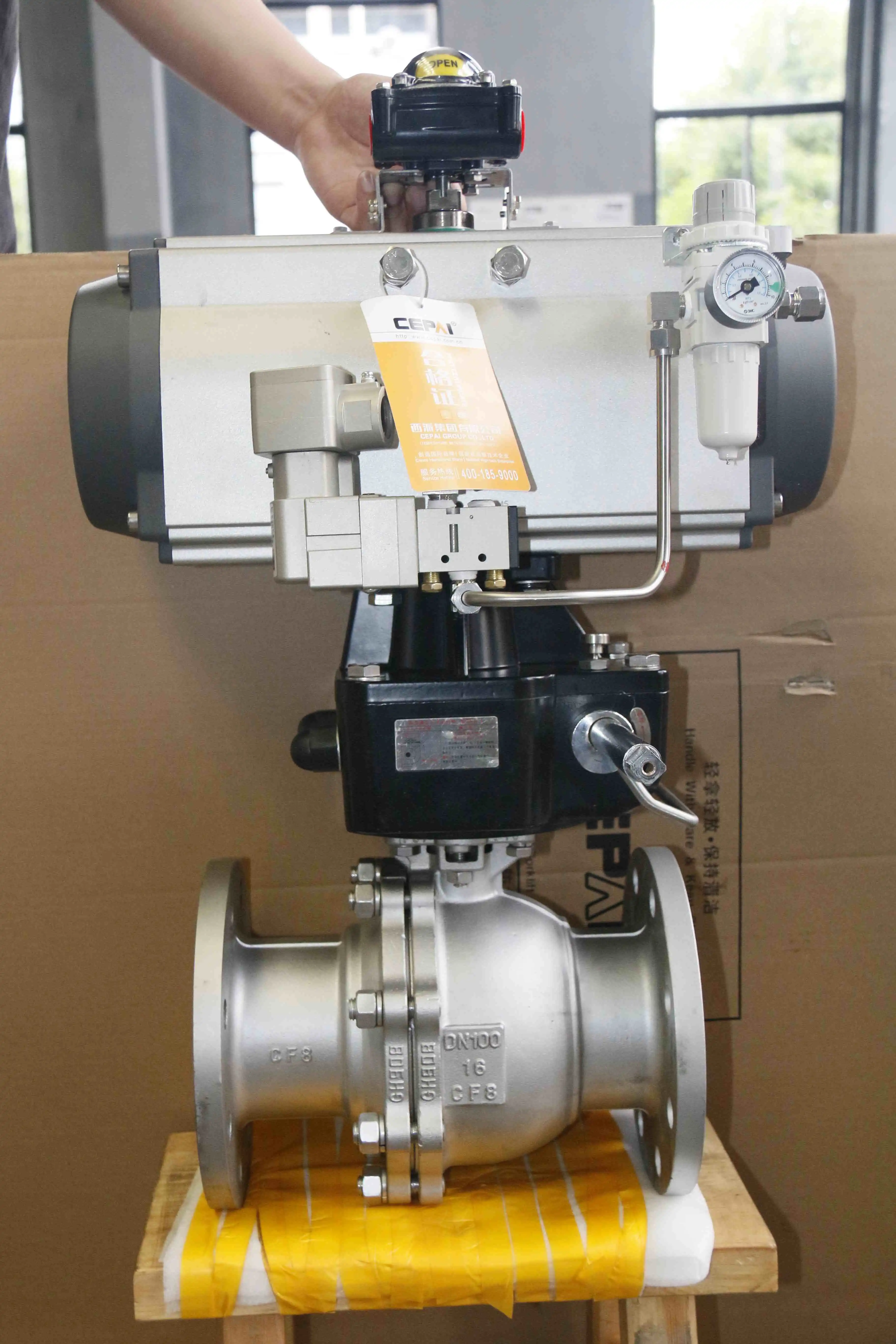 Cepai pneumatic valve Cepai pneumatic valve