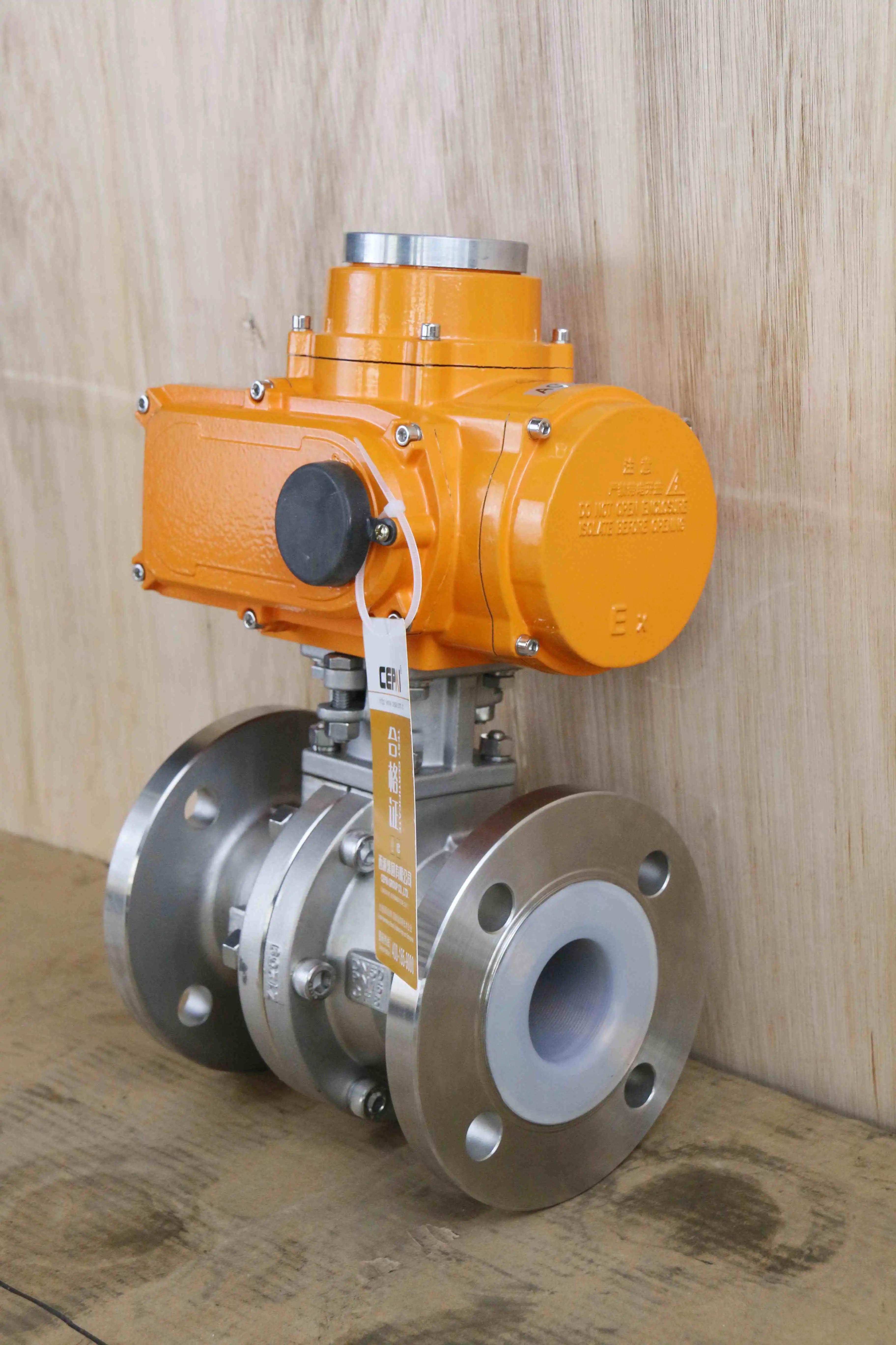Cepai electric valve