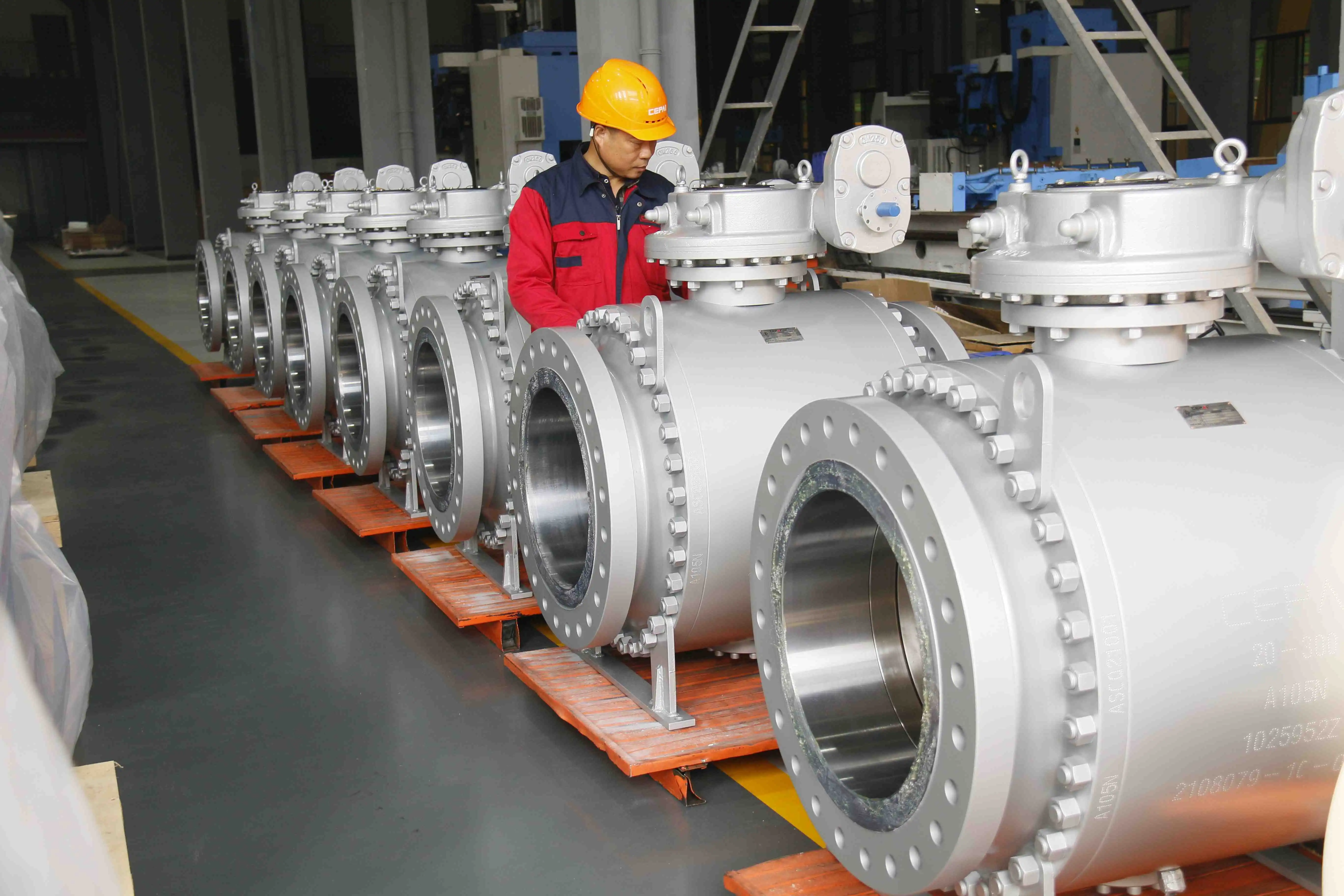 Cepai valve