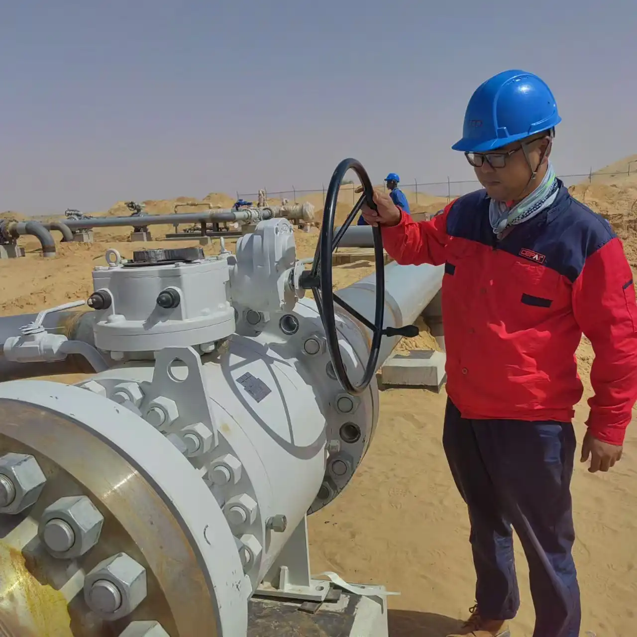 Cepai on site valve