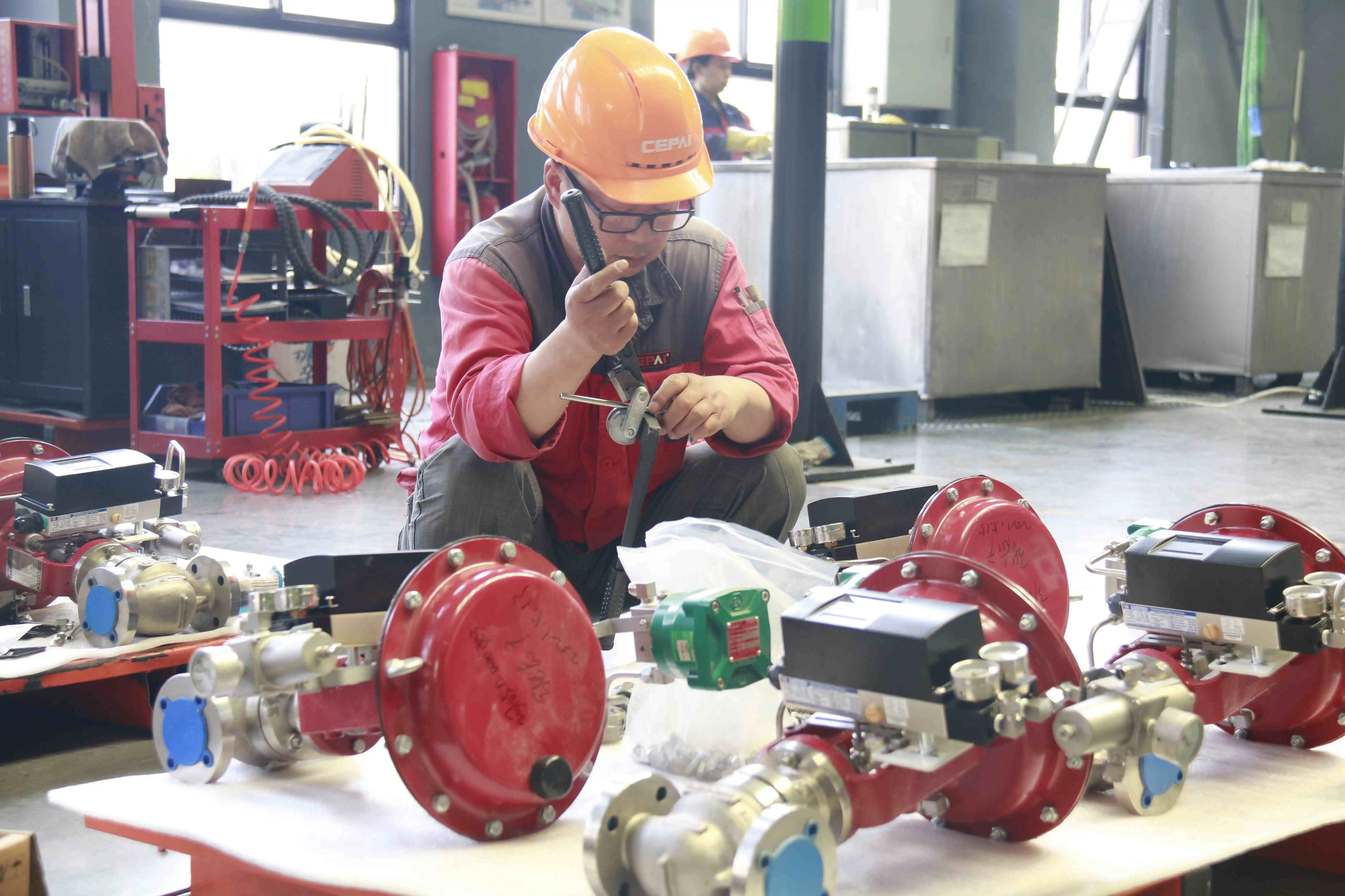 Cepai valve assembly