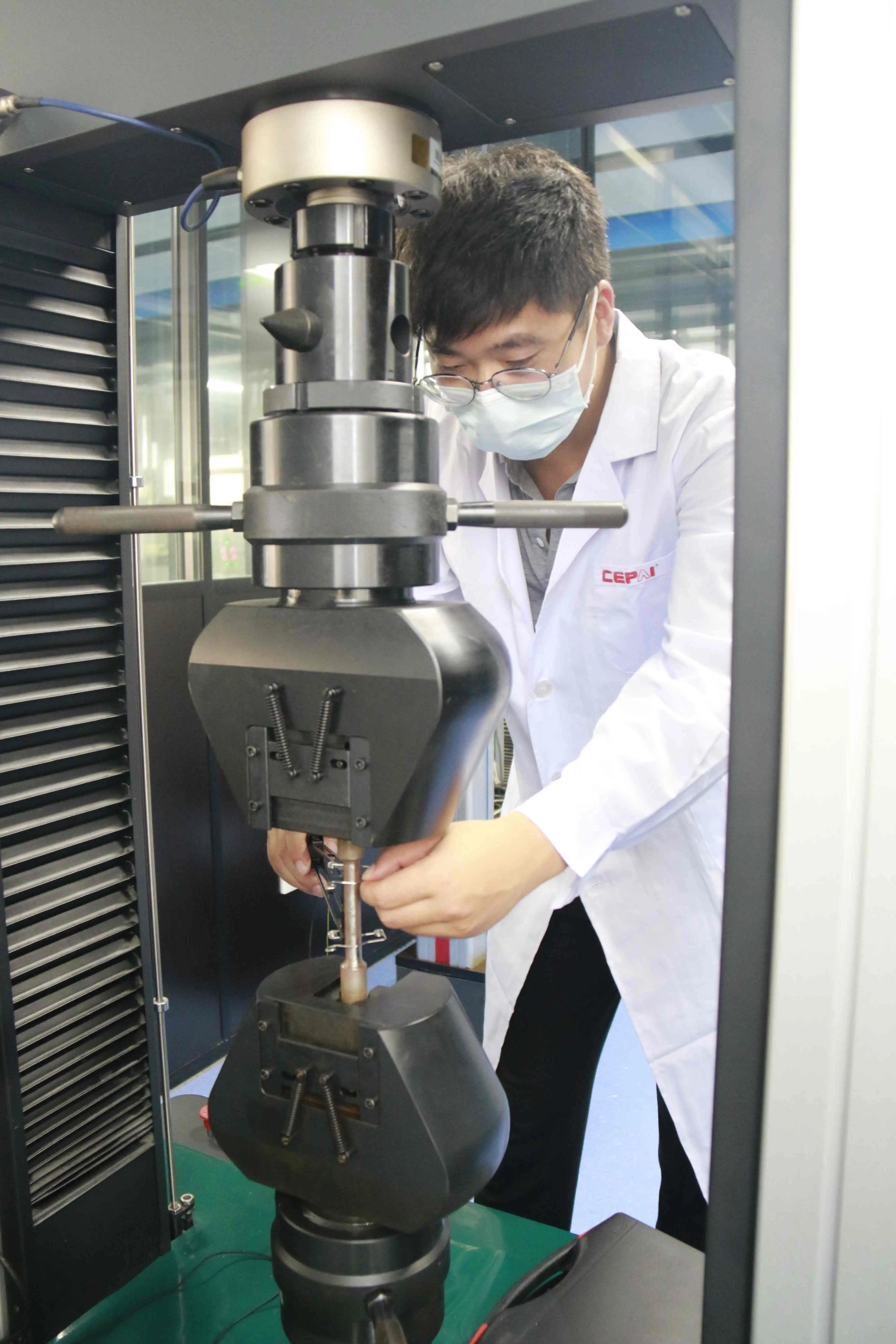 Cepai test