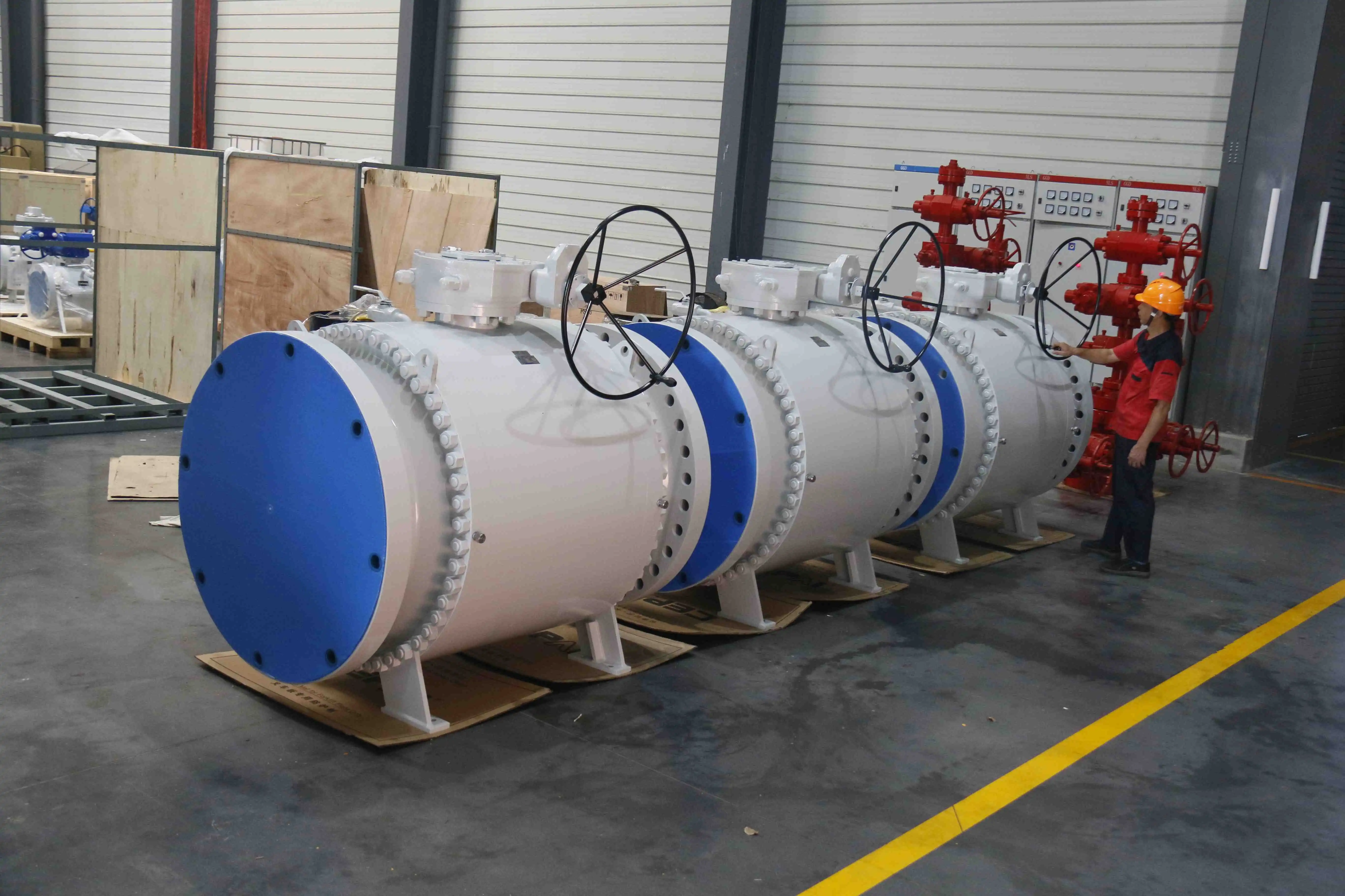 Cepai valve