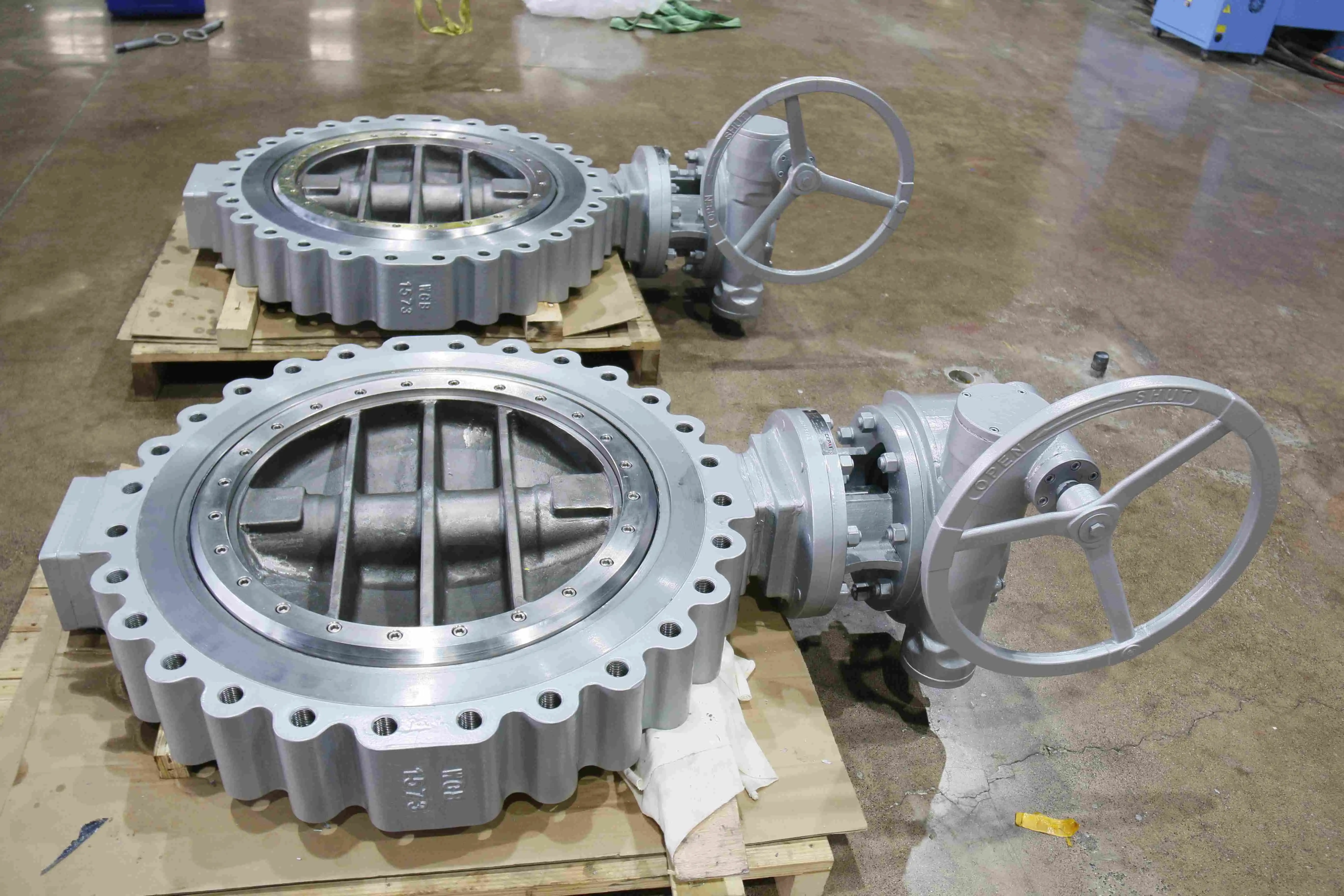 Cepai valve