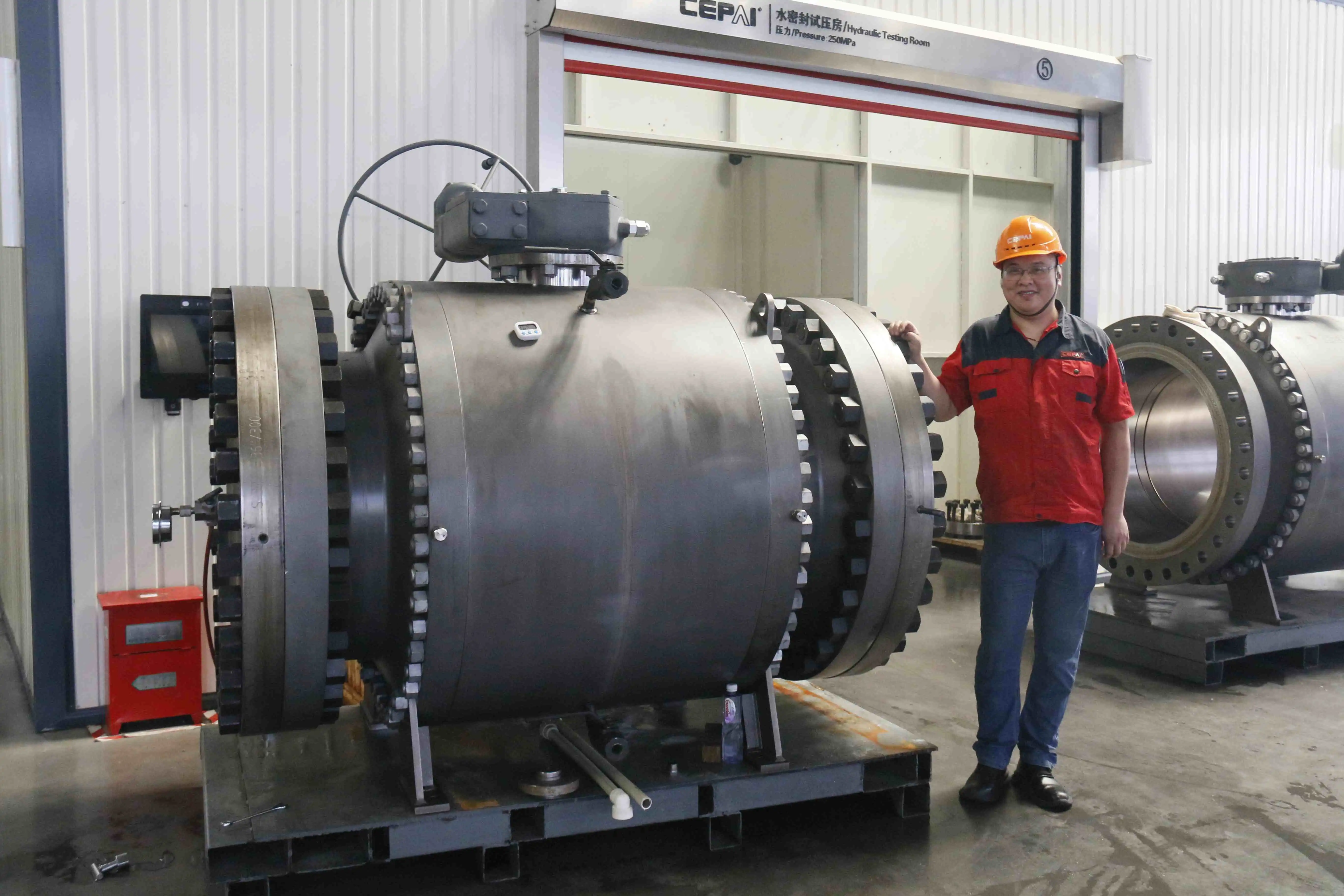 Cepai valve